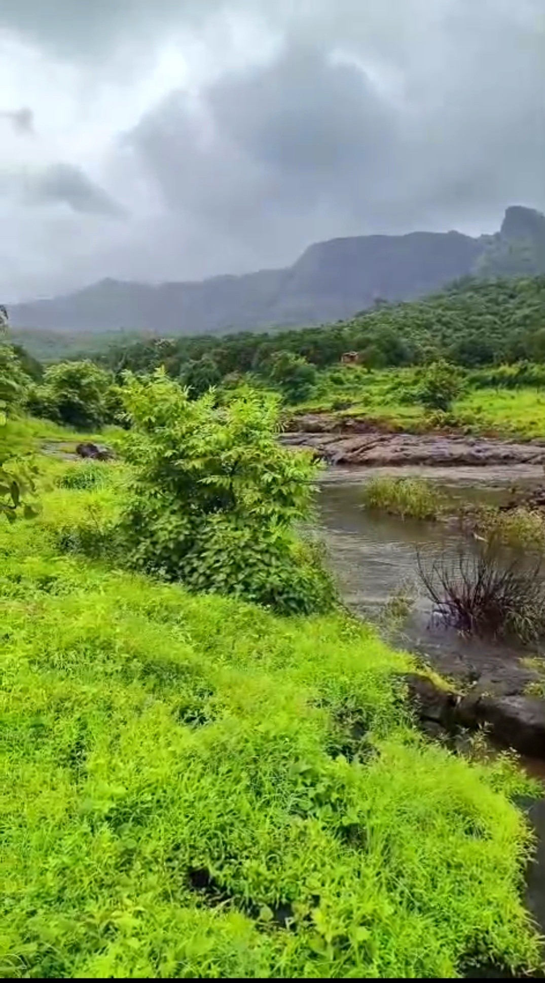 Khopoli-Pali Road - 10 Guntha Onwards Agricultural Farmhouse Plotting Project