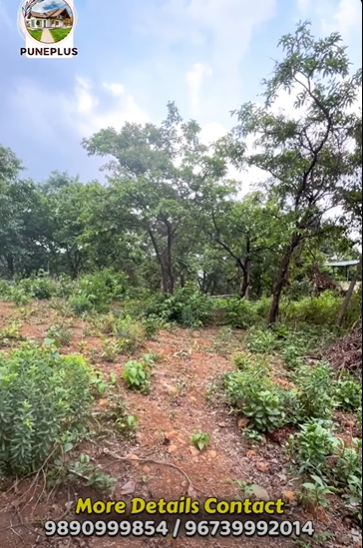 Girivan Mulshi - 14 Gunthe Farmhouse Plot for Sale