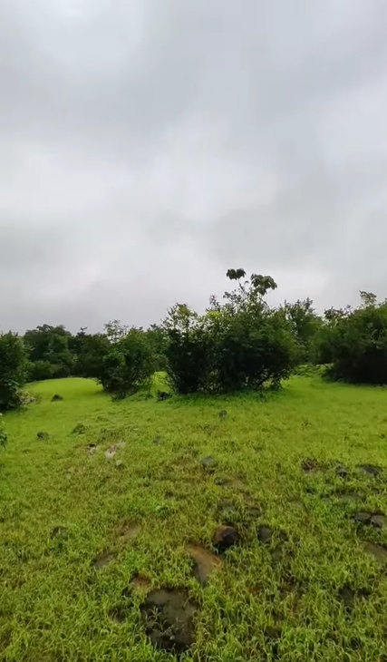 Velhe - 15 Acres Farmhouse Plot with Dam Backwater View