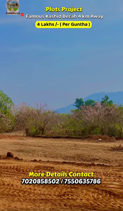 Alibaug - 5 Gunthe Agriculture Plot 
