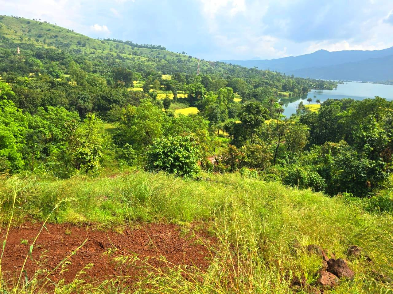 Velhe-Antroli - 85 Gunthe Dam View Agriculture Plot