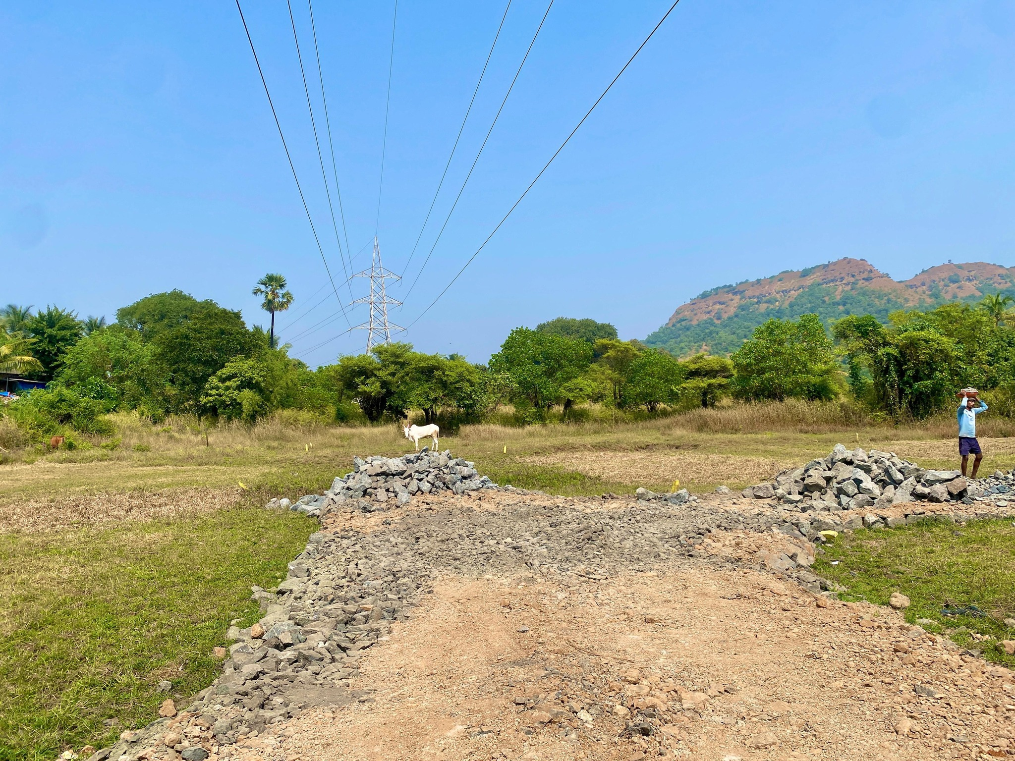 Alibaug - 5 Guntha Agriculture Plotting Project