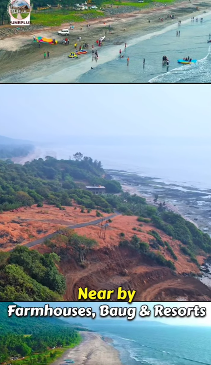 Dapoli - 2.5 Acres Cashew, Mango & Fruit Trees Baug