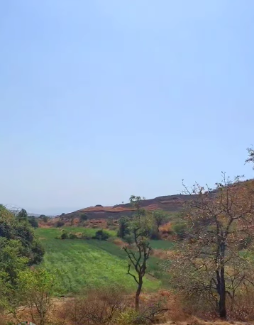 Pune - 6.5 Acres Agriculture Plot with Dam View