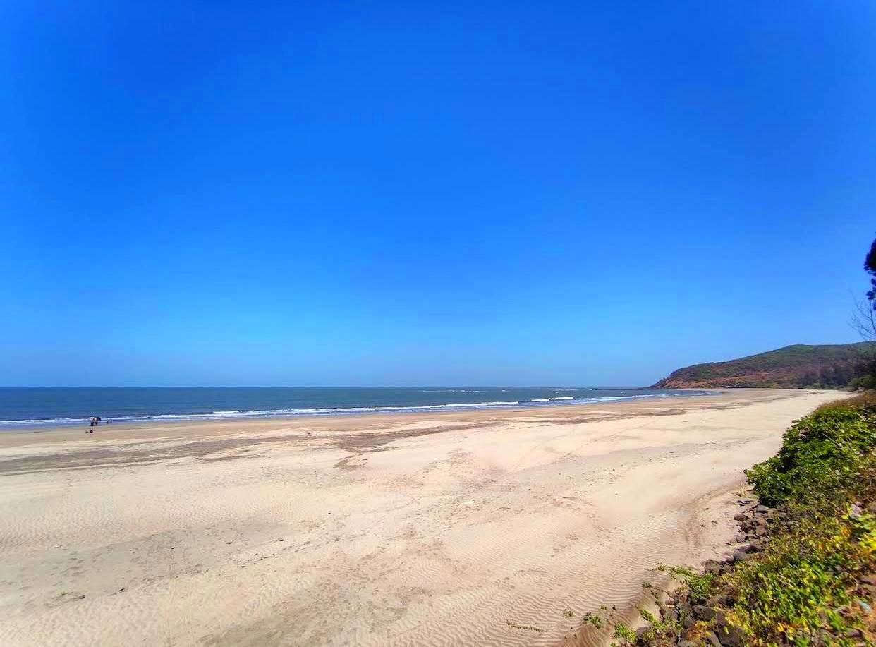 Konkan-Aravi Beach - 8 & 11 Gunthe Plots near Beach for Sale