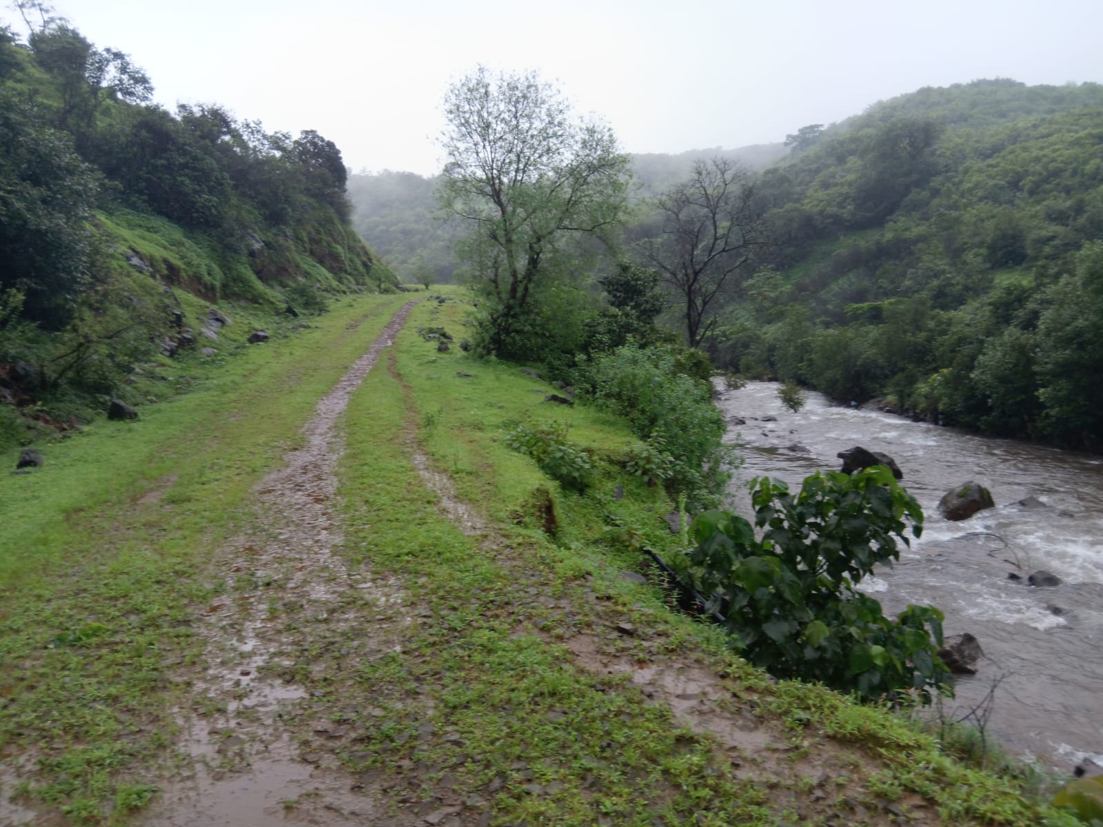 Bhor - 20 Acre Propety