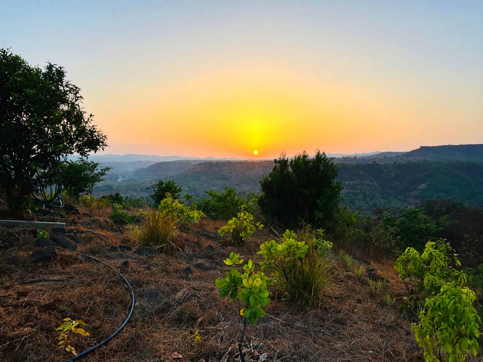 Velhe - 5.5 Acres of Land with house