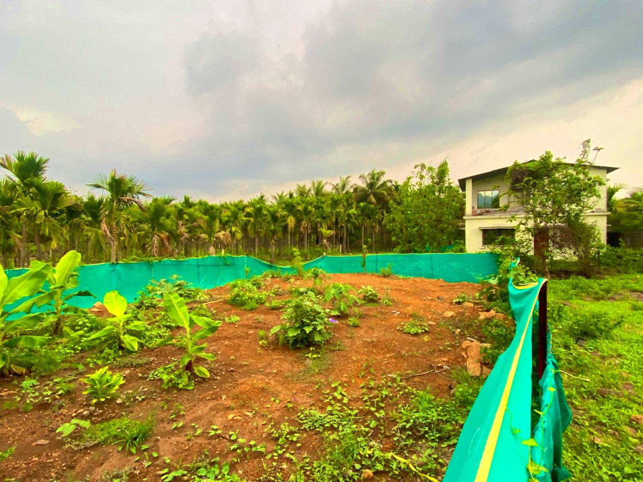 Kashid Beach - Borli 2 Gunthe Plot