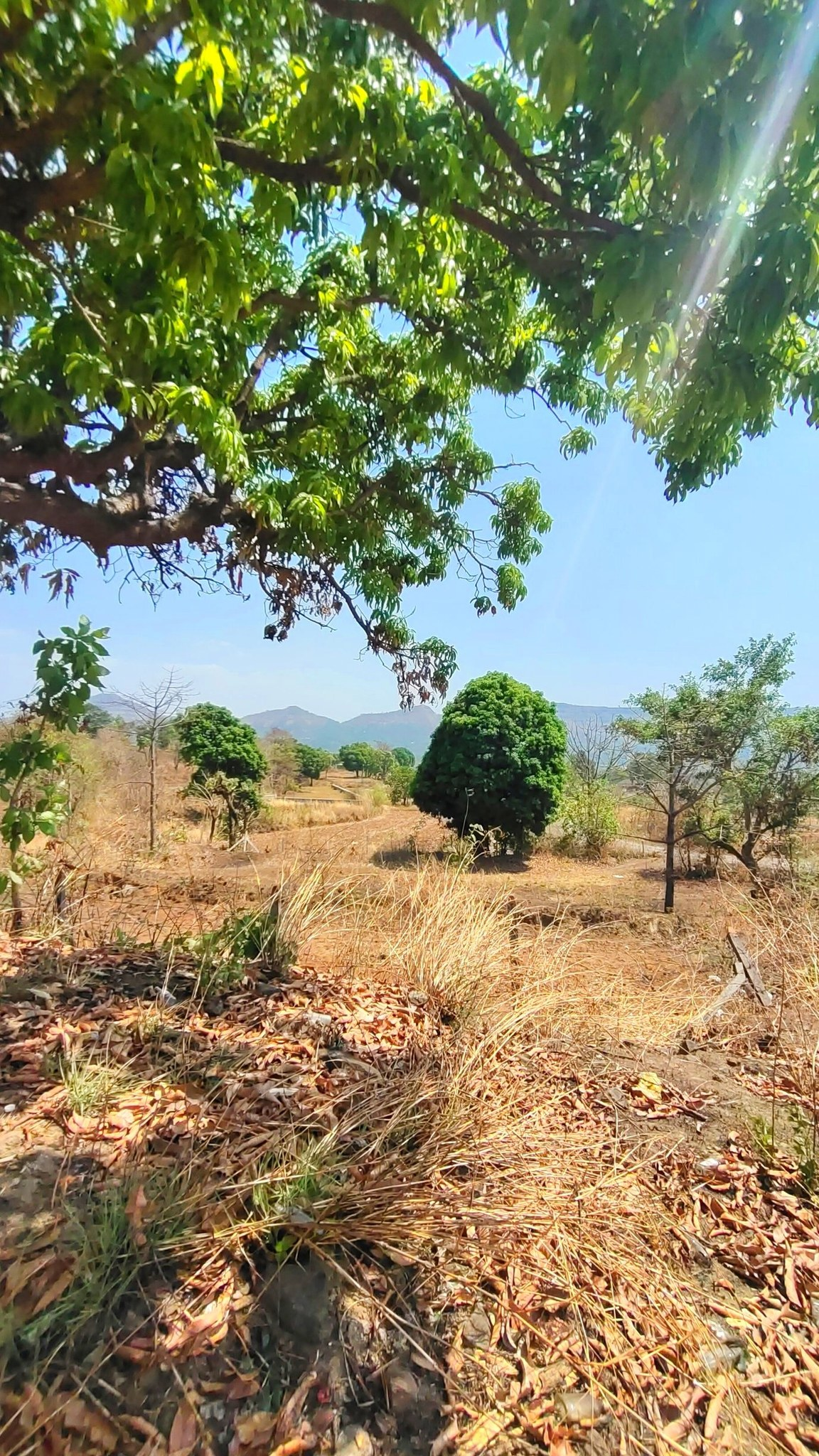 Mulshi-Kolvan - 3.5 Acres Agriculture Plot