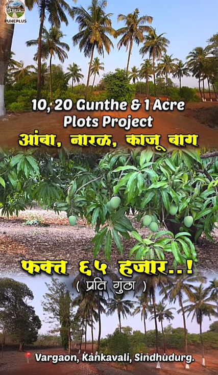 Vargaon-Kankavli - Mira Hidden Village 10 Gunthe Wadi