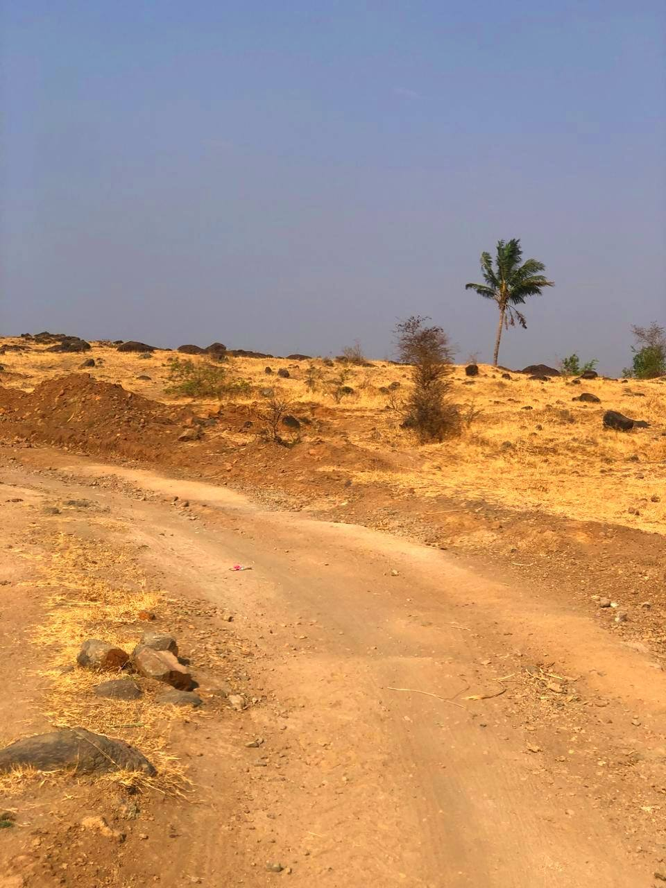 Purandar-Tondal Village - 5 Acre Land