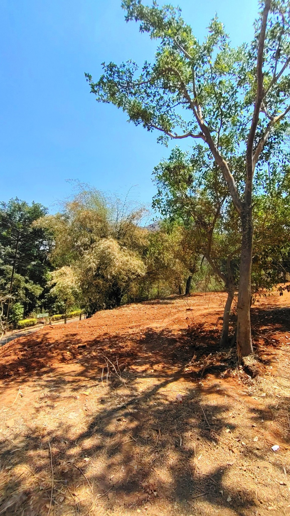 Girivan-Mulshi - 1 Acre Farmhouse Plot with Small House