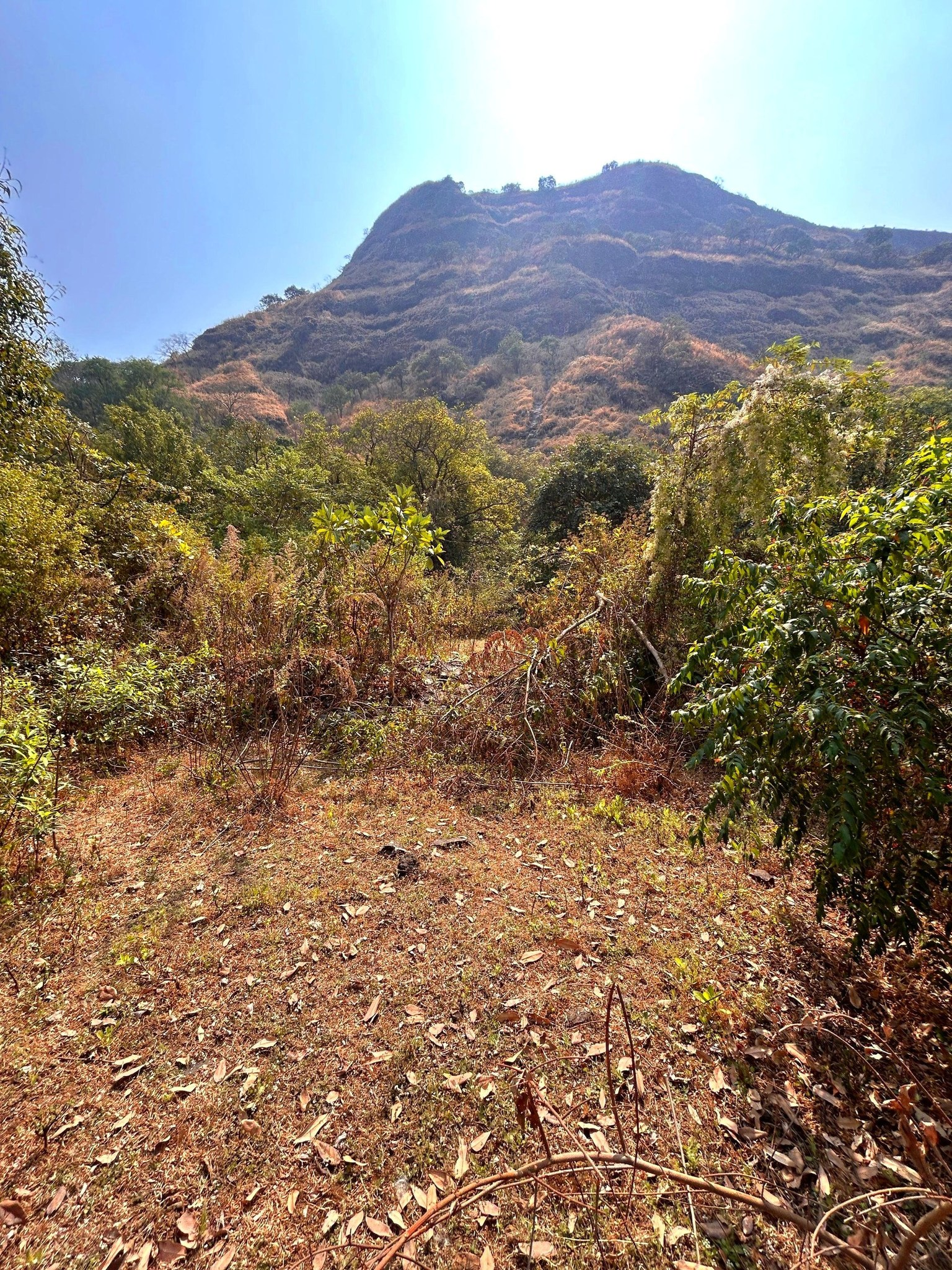 Girivan-Mulshi - 20 Gunthe Farmhouse Plot