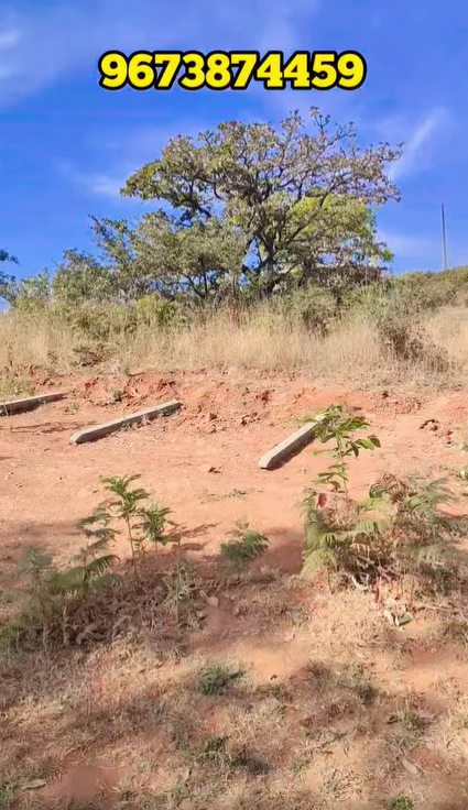 Mahabaleshwar - 3 Gunthe NA Plot with 4 Gunthe Open Space