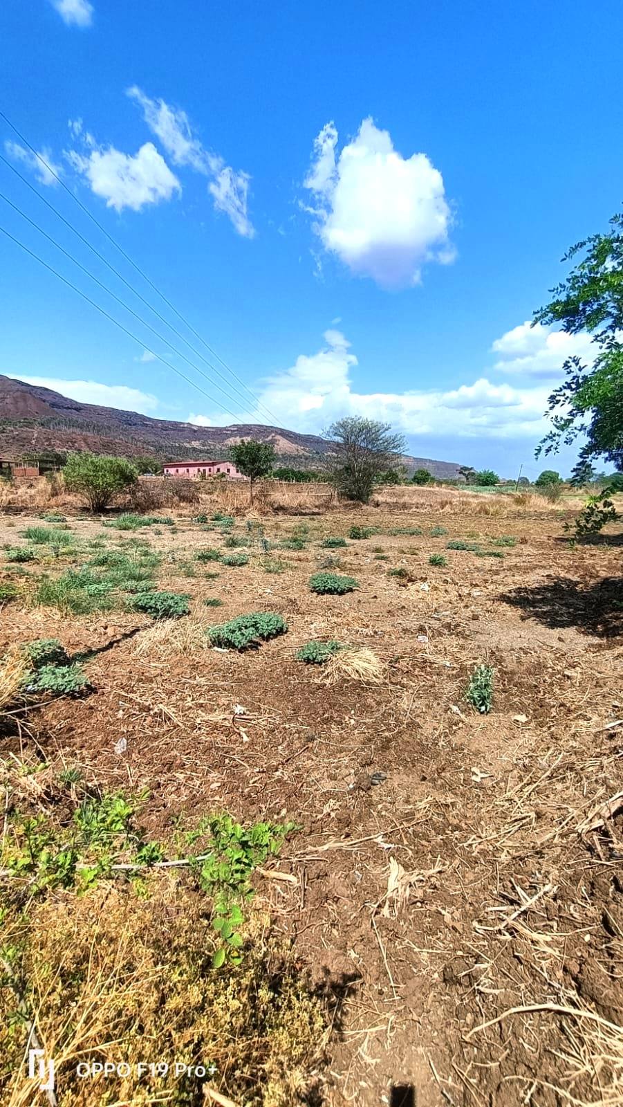 47-agriculture-plot-f5ff98fb-8850-4727-a468-3948ed865245.jpg