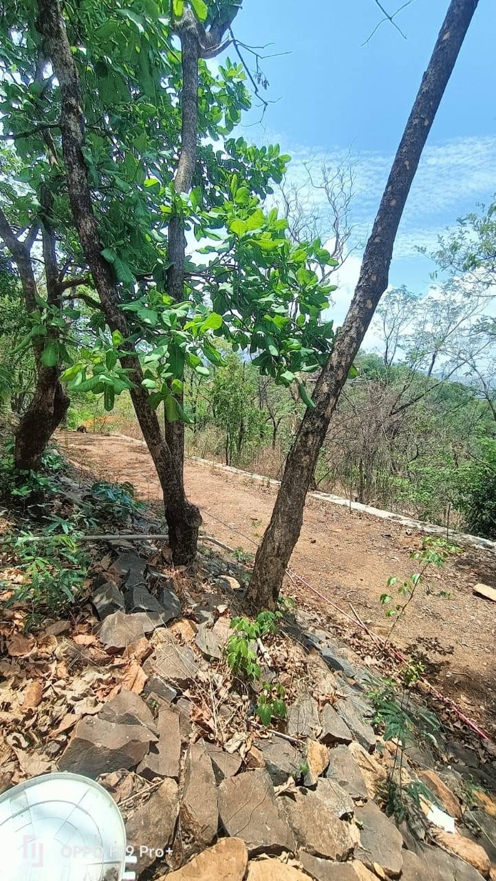 Girivan - 1.5 Acre Mountain View Plot