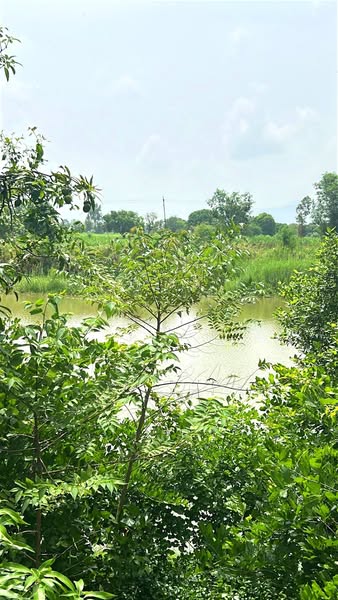 Paud - 3 Acre 10 Gunthe Property