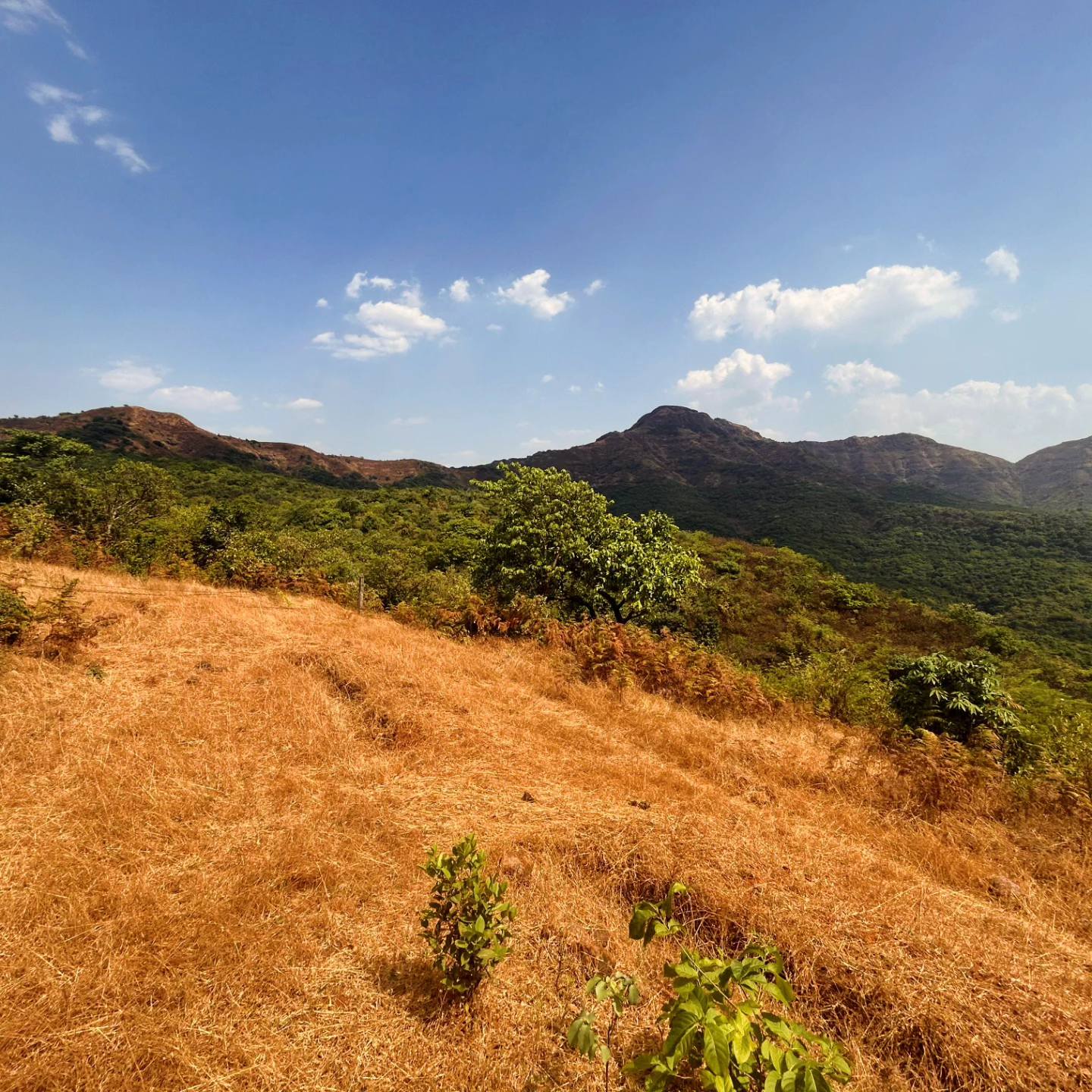 Lavasa Road - 32 Acre Agriculture Land 