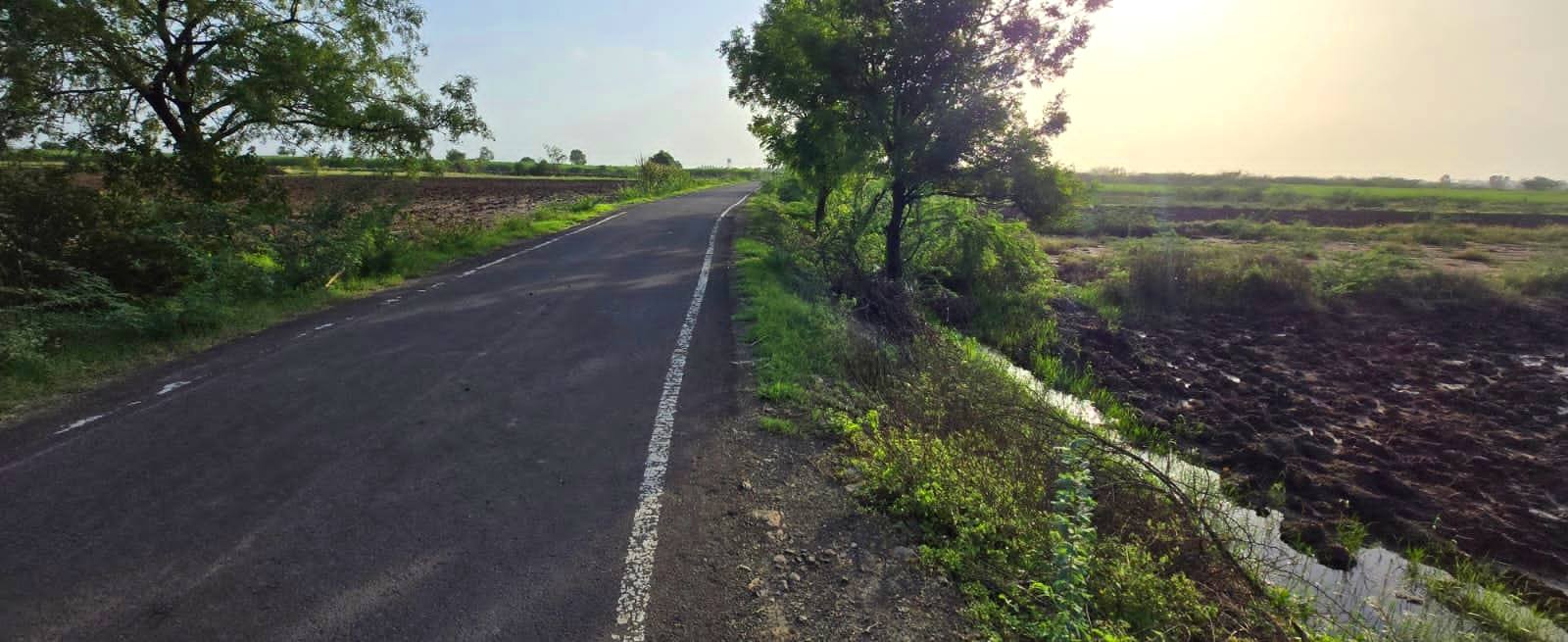 Daund - 7 Acre Agriculture land 