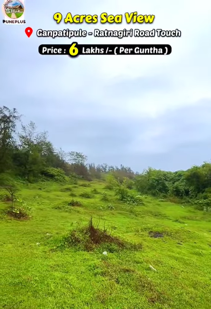 Ganpatipule - 9 Acres Agricultural Plot with Sea View (1/2/3 acres can also be taken)