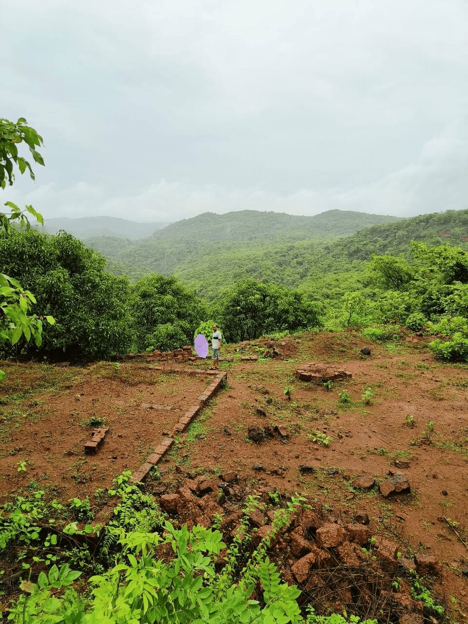 Konkan - 6 Acre Baug for Sale