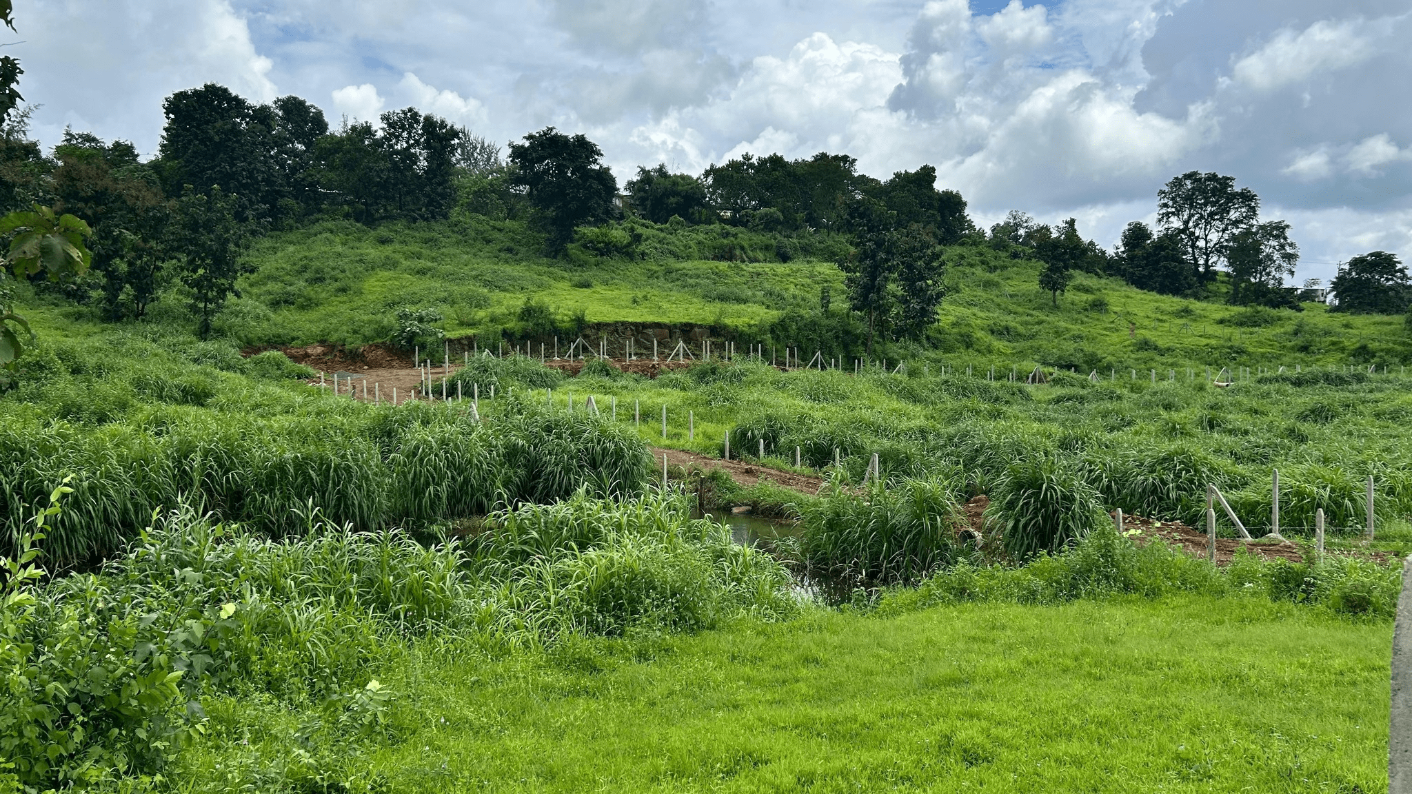 Dahigaon-Dokshet - 20 Gunthe Fully Developed Agriculture Farm Plots