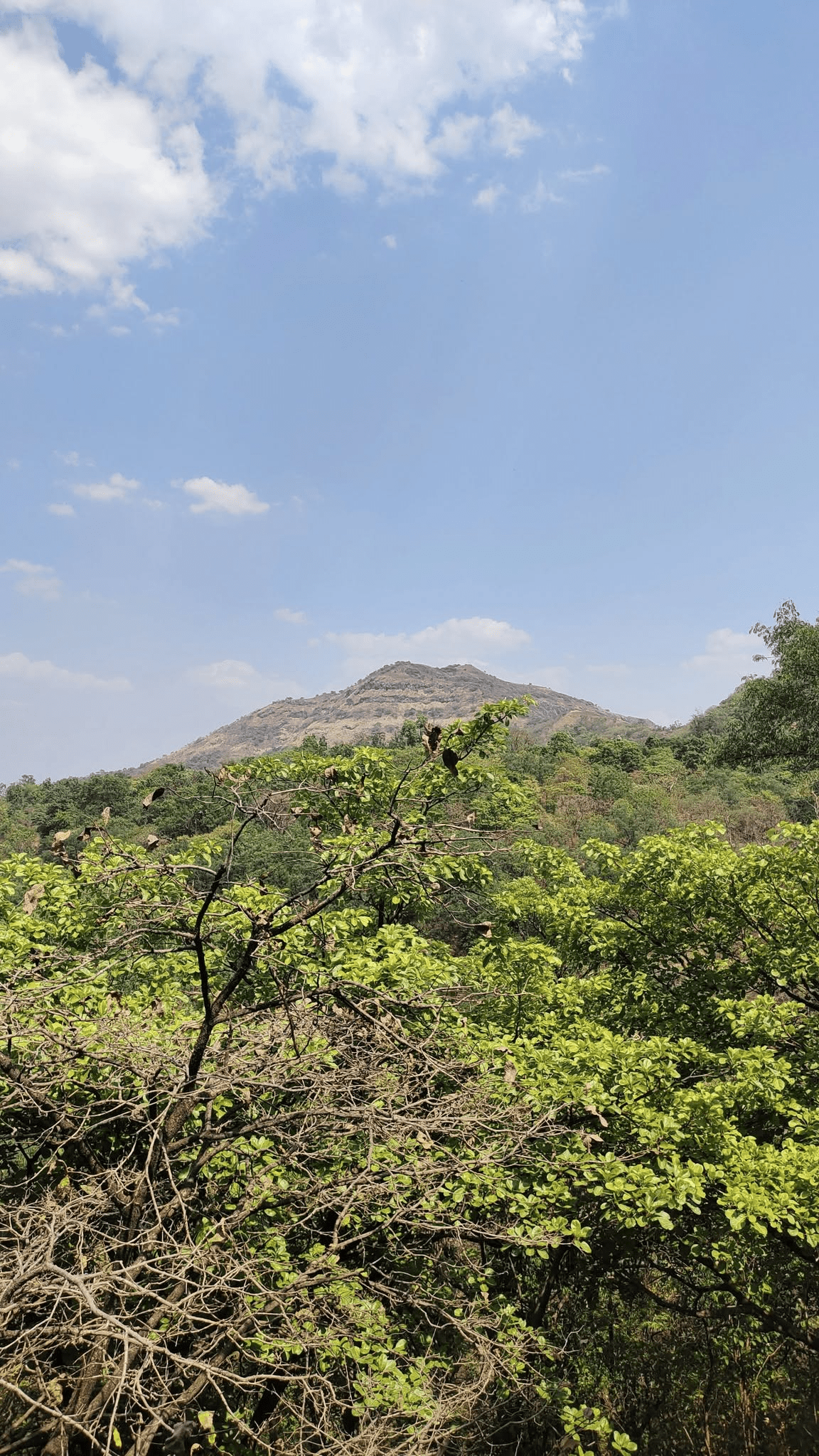 Girivan - 10 Gunthe Bogan Flowers Plot