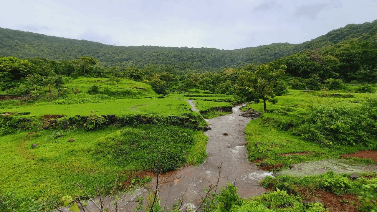 Ratnagiri-Dapoli-Ladghar - 5 Acre Land for Resort